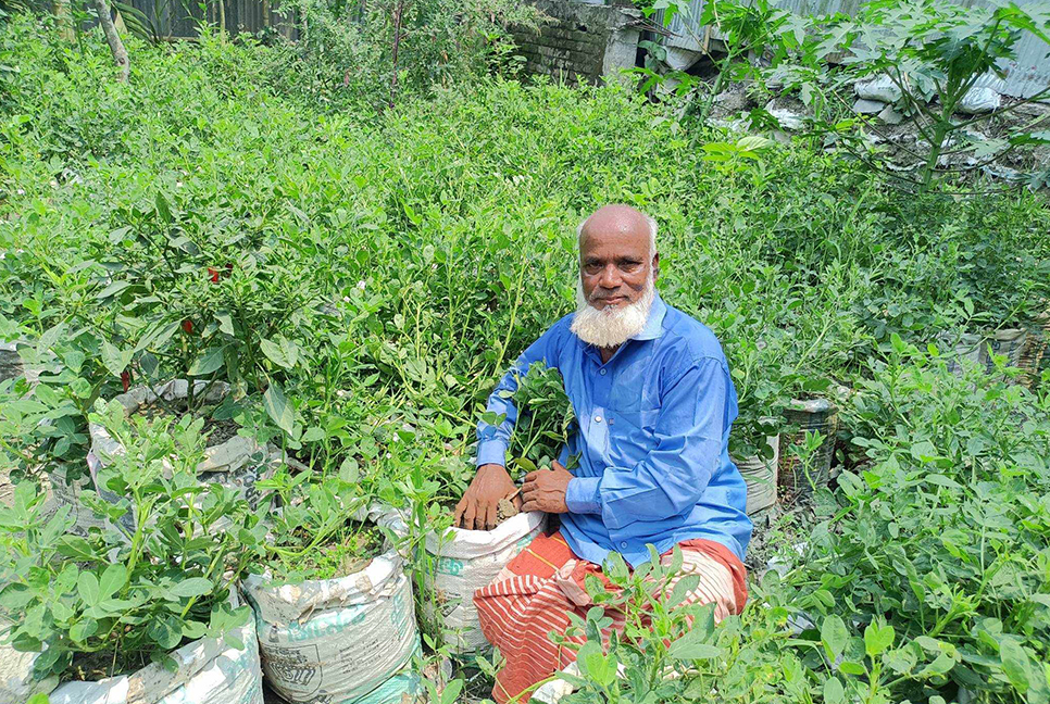 পরিত্যক্ত জমিতে বস্তায় বাদাম চাষ 