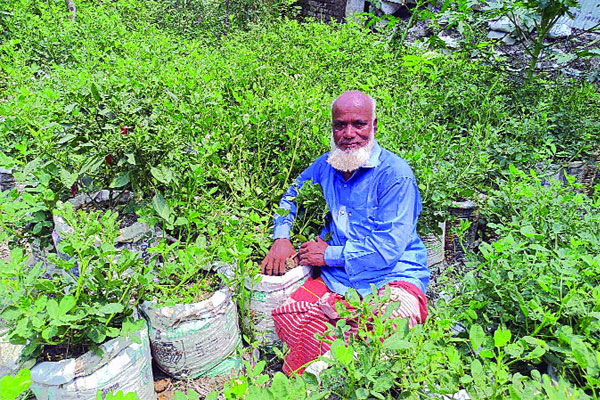 পরিত্যক্ত জমিতে বাদামে বাজিমাত