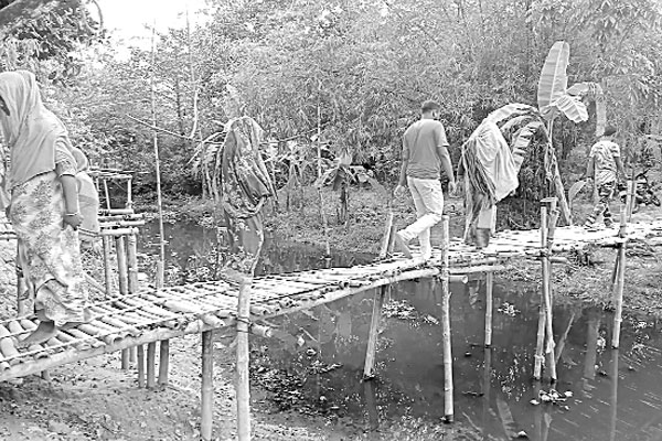 ঝুঁকি নিয়েই বাঁশের সাঁকোতে পারাপার, দুই গ্রামের ভোগান্তি