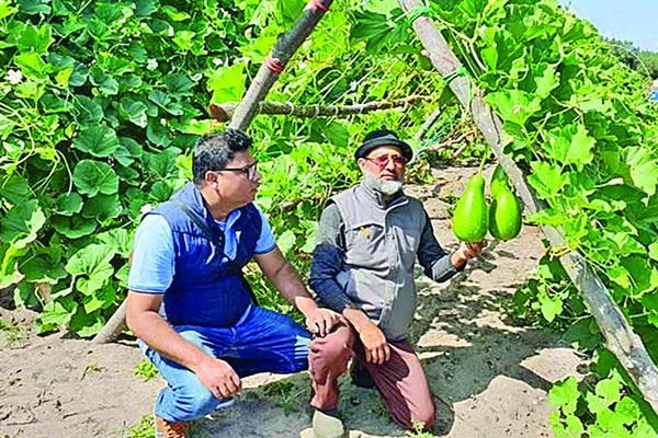 ফ্রান্সে সবজি চাষে বাংলাদেশি আইয়ুবের সাফল্য