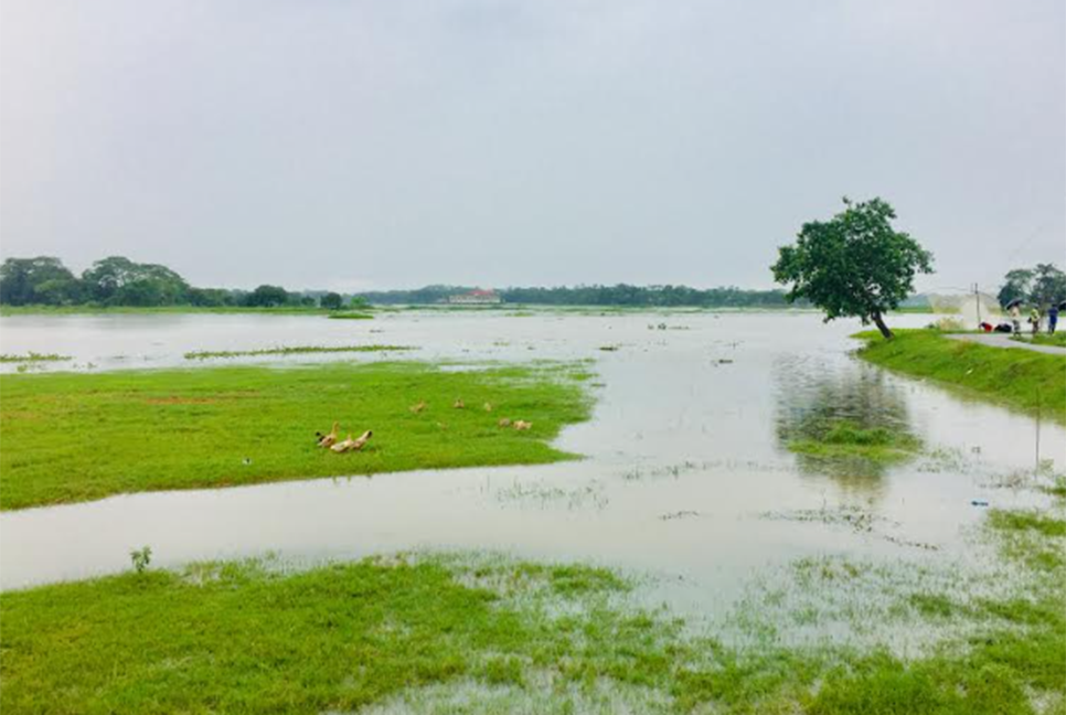 টানা বৃষ্টিতে বিশ্বনাথে আকস্মিক বন্যার শঙ্কা