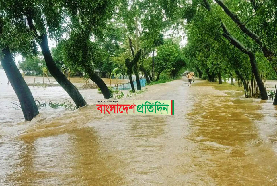 সিলেটে বন্যার সঙ্গে ডেঙ্গু আতঙ্ক

