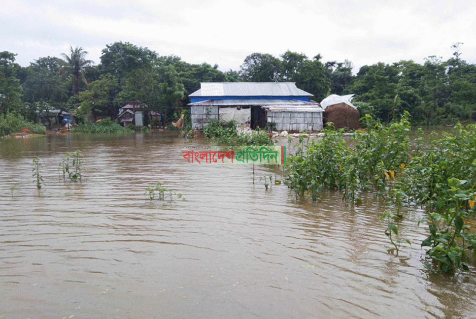 সুনামগঞ্জে হু হু করে বাড়ছে বন্যার পানি, নিম্নাঞ্চল ডুবছে 

