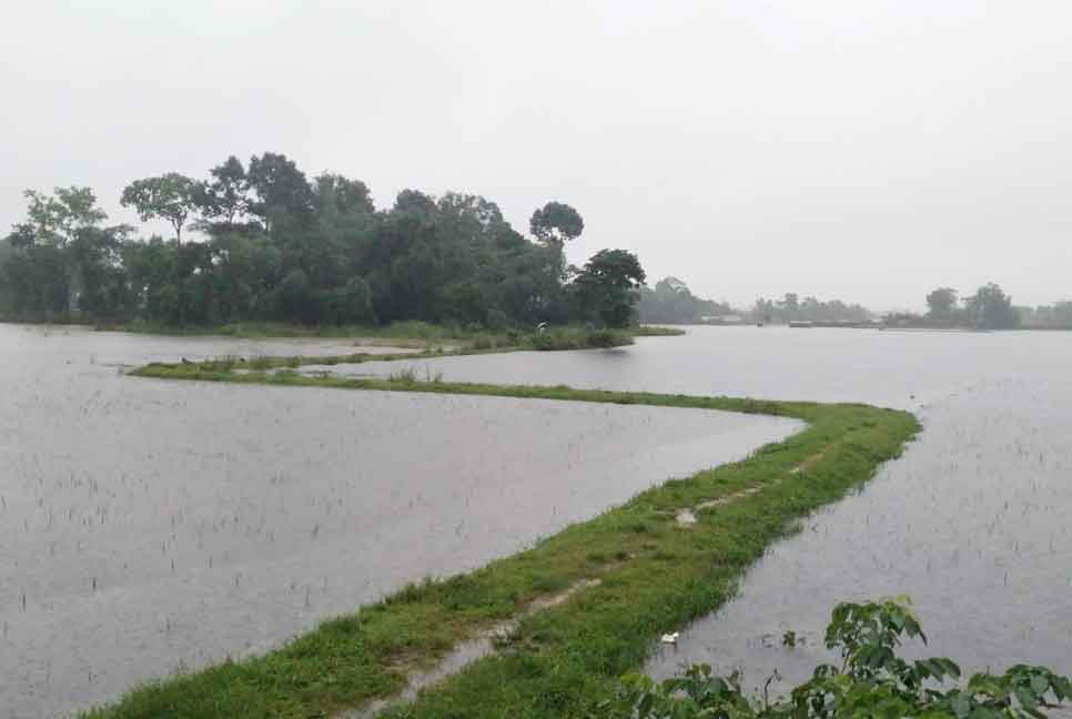 ডুবছে সিলেটের নিম্নাঞ্চল