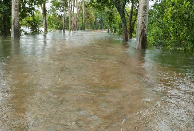 পাহাড়ি ঢলে গোয়াইনঘাটে বন্যা পরিস্থিতির অবনতি, সড়ক যোগাযোগ বিচ্ছিন্ন

