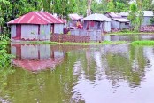 নদী হাওরের পানি বাড়ছেই