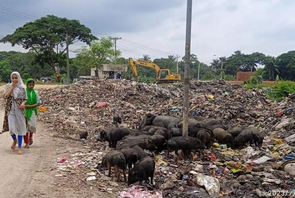 আখাউড়ায় বিদ্যালয়ের সামনে ময়লার ভাগাড়, দুর্গন্ধে পাঠদান ব্যাহত 