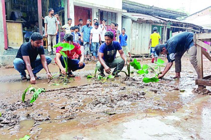 অভিনব প্রতিবাদ সড়কে লাগানো হলো কচুগাছ