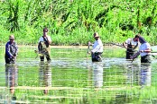 ইউরোপজুড়ে দাবদাহ