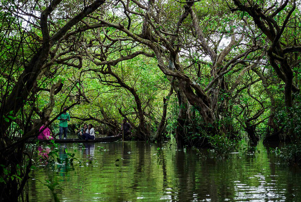 রহস্যময় জলাবন রাতারগুল