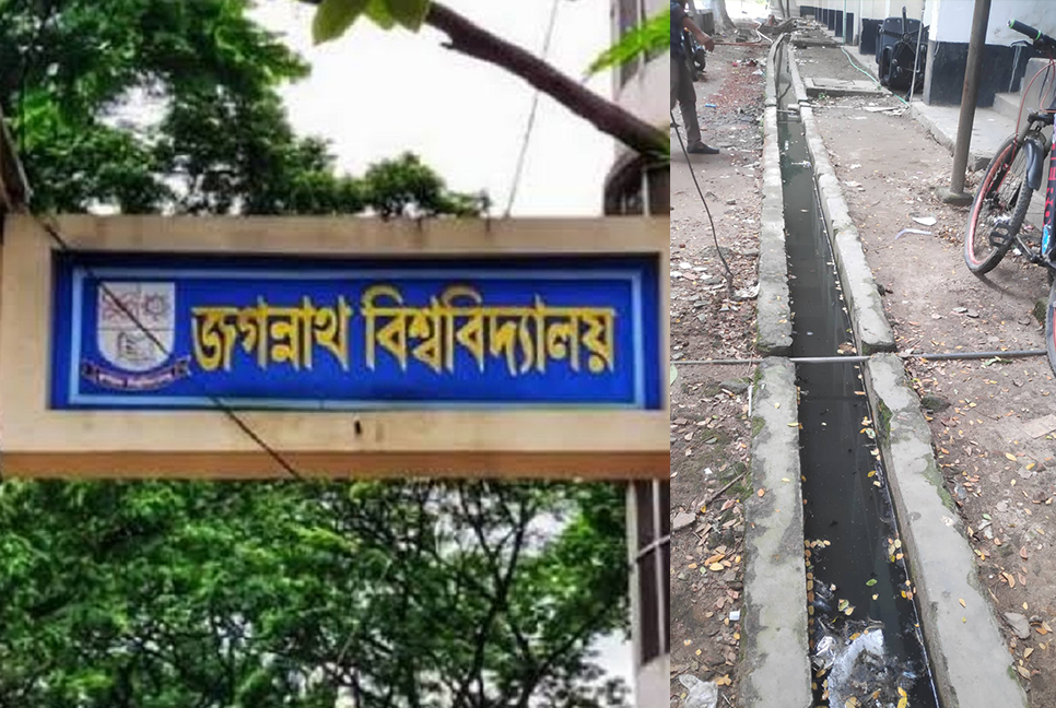 ডেঙ্গু আতঙ্কে জবি শিক্ষার্থীরা