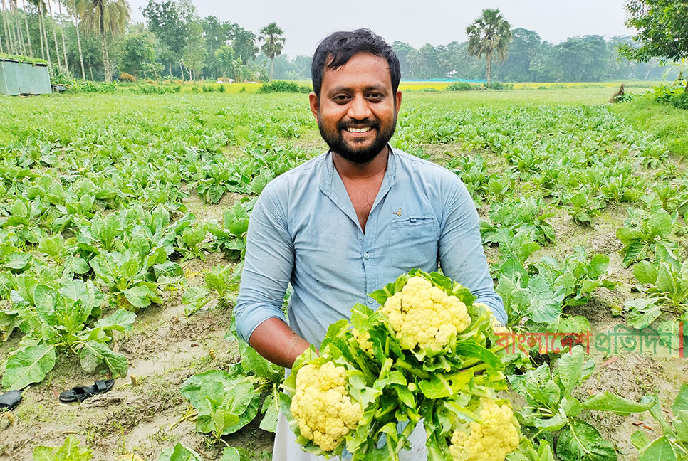 সবজি চাষে ভালো আয়, দুবাই ফিরবেন না রাসেল