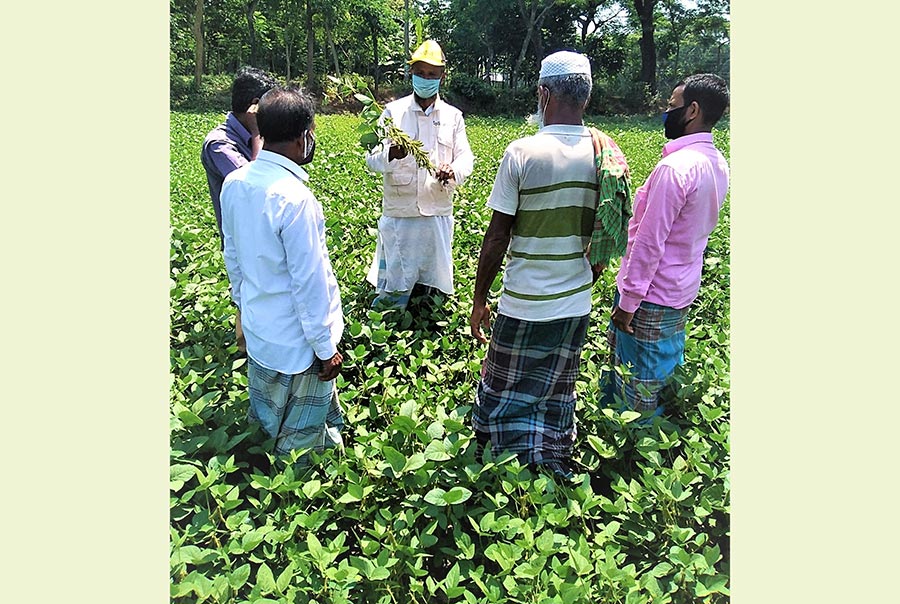 বঙ্গবন্ধু শেখ মুজিবুর রহমান কৃষি বিশ্ববিদ্যালয় কর্তৃক দুটি সয়াবিনের নতুন জাত উদ্ভাবন 