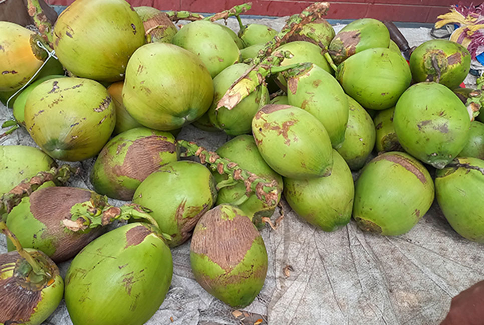 নাগালের বাইরে ডাবের দাম 

