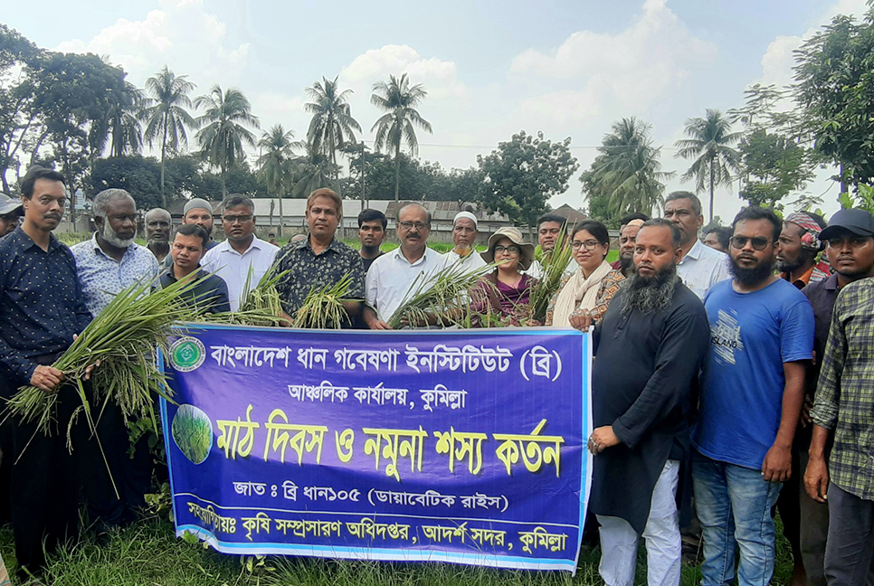 ডায়াবেটিস রোগীদের জন্য নতুন ধানের চাষ!