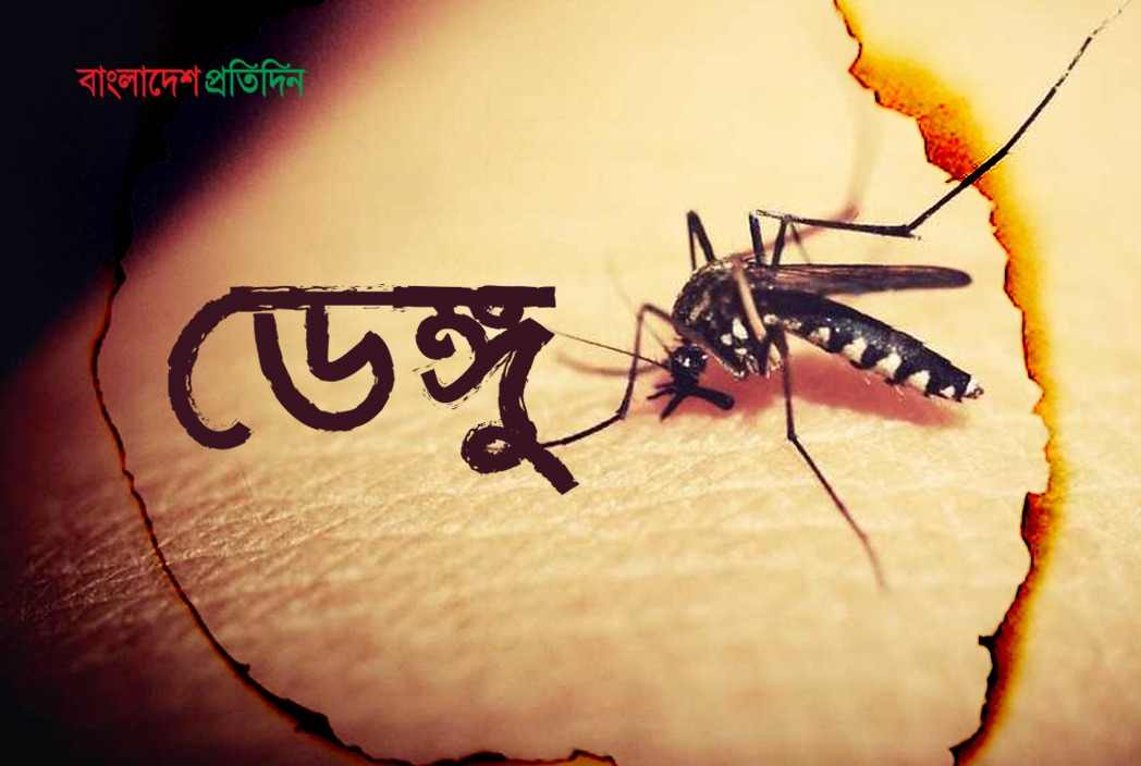 কিশোরগঞ্জের তিন হাসপাতালে ৮৯ ডেঙ্গু রোগী