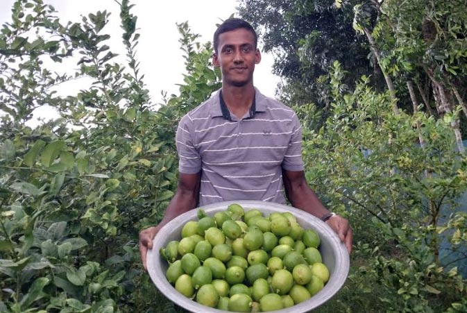 তরুণদের স্বপ্ন দেখাচ্ছে দুই ভাইয়ের মিশ্র ফলের বাগান 