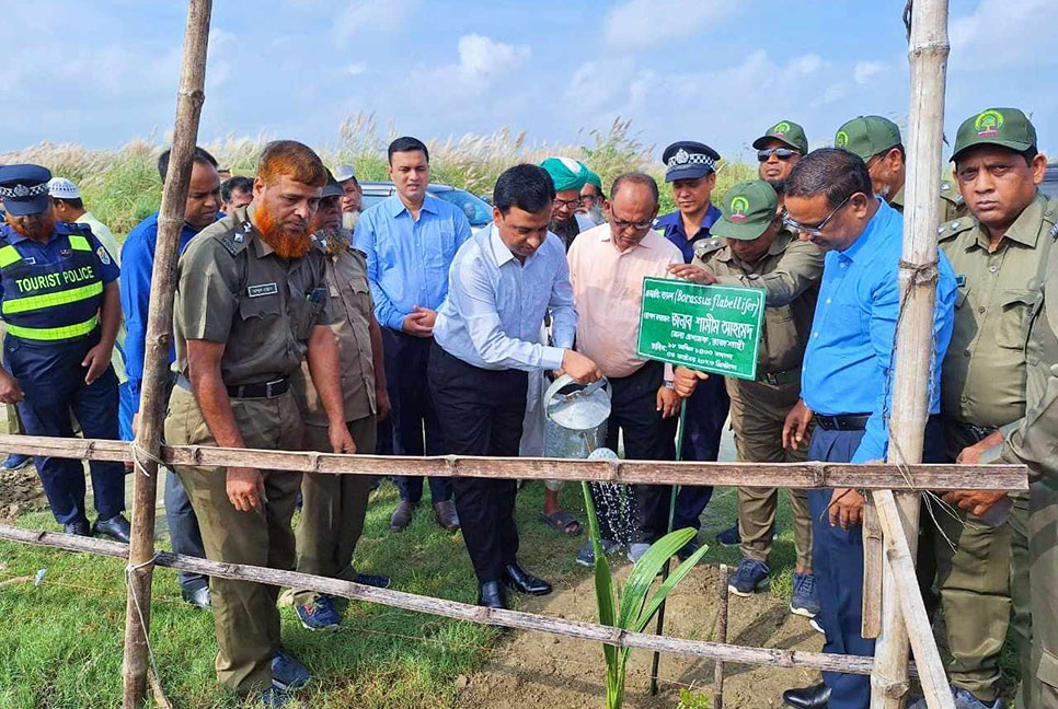 পদ্মার চরে রোপণ করা হবে ১ লাখ ২৫ হাজার বৃক্ষ