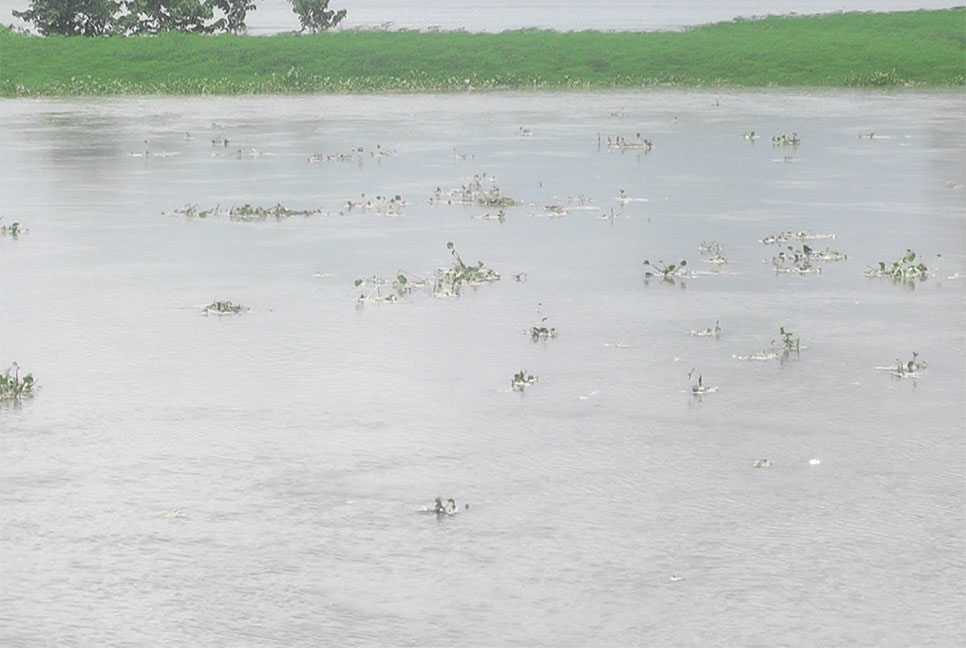 কুড়িগ্রামে তিস্তা নদীর পানি বৃদ্ধি