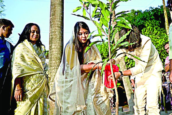 দেনমোহর নিলেন গাছের চারা