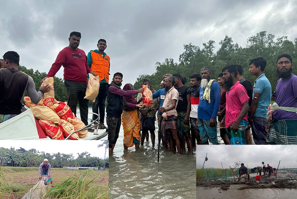 গলাচিপায় পানিবন্দী ১০০ পরিবার, ফসলের ক্ষয়ক্ষতি