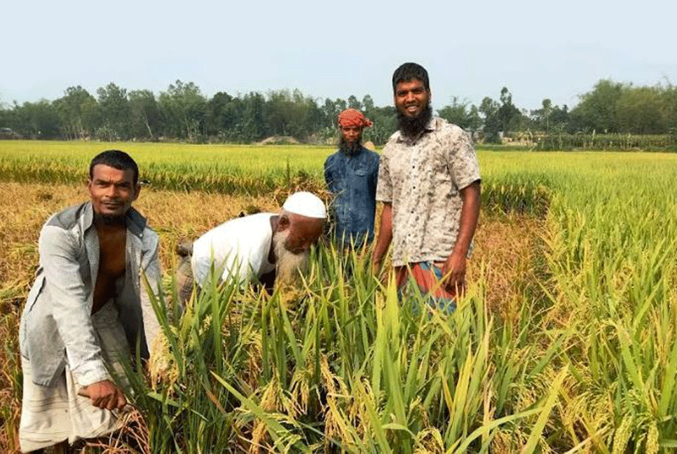 পরামর্শের সঙ্গে প্রযুক্তির ছোঁয়া বদলাবে প্রান্তিক কৃষকের জীবন