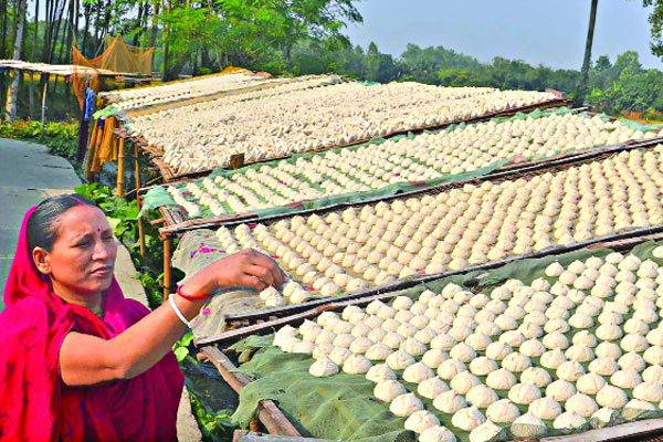 কুমড়া বড়িতে বদলেছে গ্রামীণ অর্থনীতি