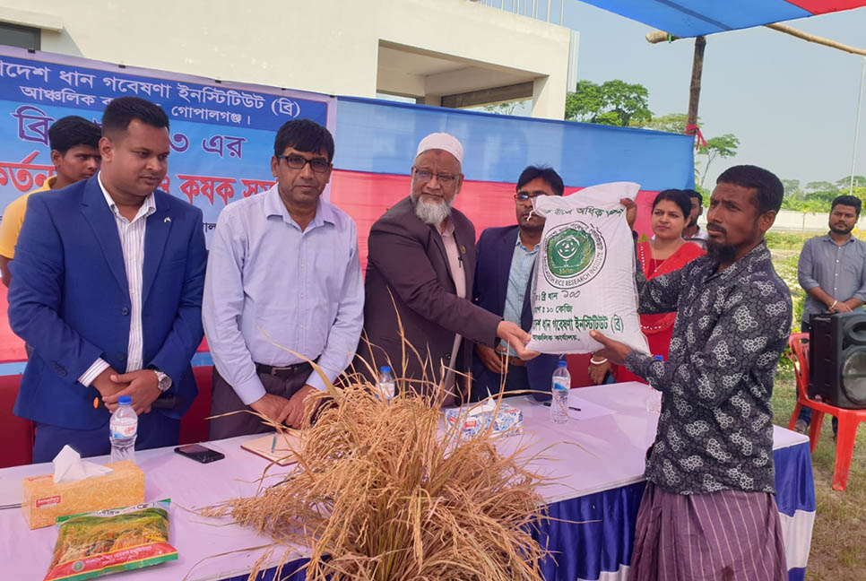 গোপালগঞ্জসহ ৩ জেলায় ৯১১৫ কেজি ধান বীজ বিতরণ