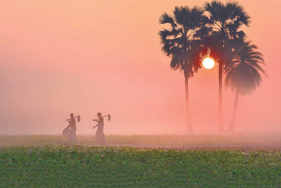 দেশের সর্বনিম্ন তাপমাত্রা তেঁতুলিয়ায়