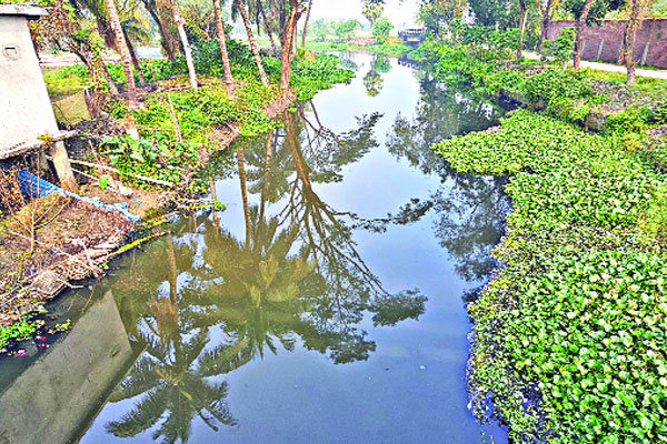 দখল-দূষণে মৃতপ্রায় ময়ূর