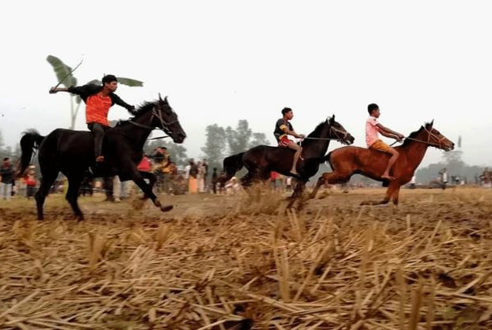 সখীপুরে ঐতিহ্যবাহী ঘোড়দৌড় প্রতিযোগিতা