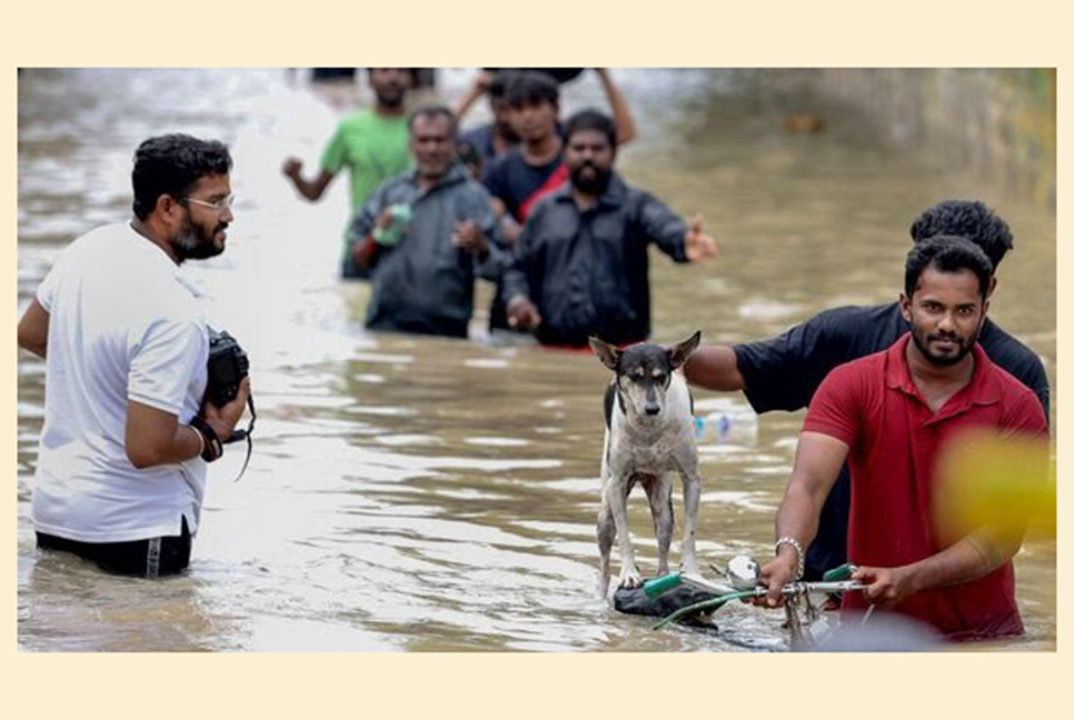 টানা বর্ষণে বিপর্যস্ত তামিলনাড়ু দক্ষিণাঞ্চল, ১০ জনের মৃত্যু 

