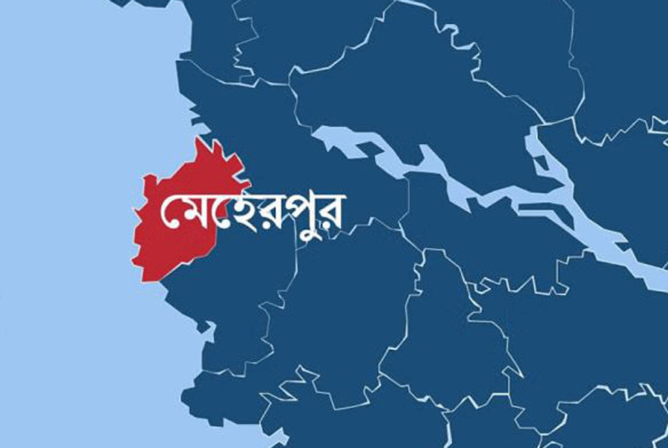 স্বতন্ত্র প্রার্থীর পক্ষে প্রচারণা, নারী ইউপি সদস্যকে ঘাড় ধাক্কা দেওয়ার অভিযোগ