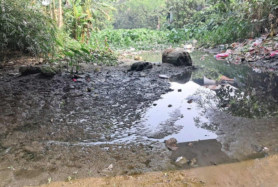 পানি সংকট, দুমকিতে বোরো’র আবাদ নিয়ে দুশ্চিন্তায় কৃষকরা