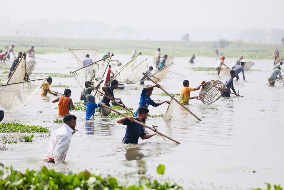 বড় বিলে ‘পলো বাওয়া’ উৎসব