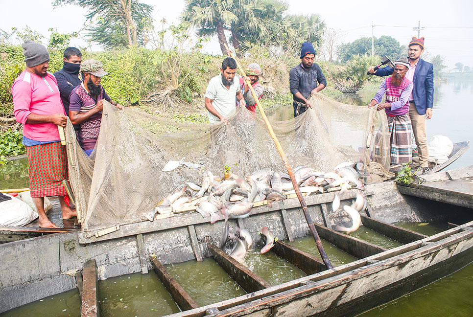 প্লাবন ভূমিতে মাছ চাষ