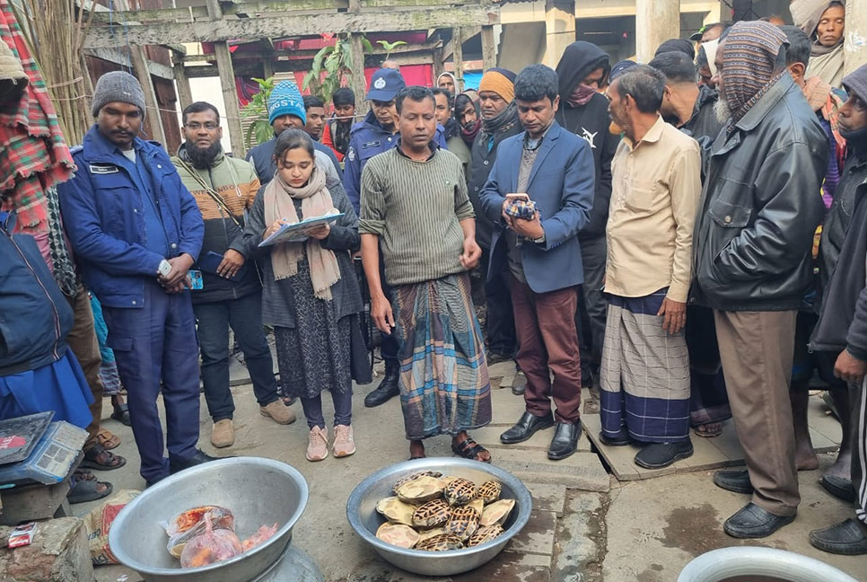 ১৭টি কচ্ছপসহ আটক ব্যবসায়ীর দুই মাসের কারাদণ্ড