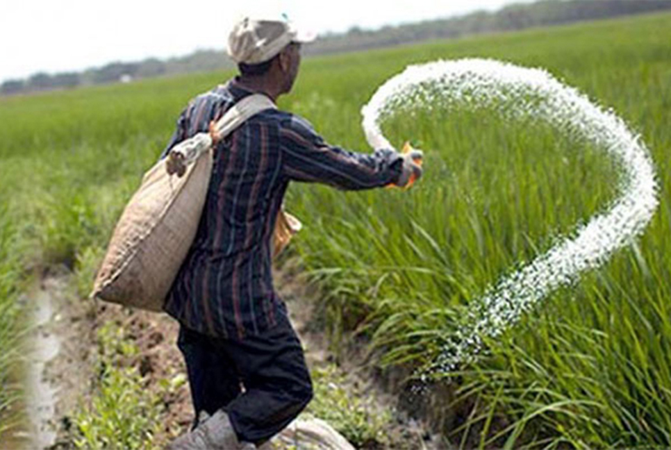 ১১৪২ কোটি টাকার সার কেনার অনুমোদন

