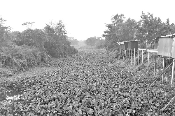 সেচ সংকটে ২০ হাজার বিঘা জমি