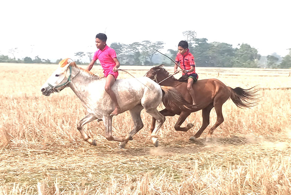 বিশ্বনাথে ঐতিহ্যবাহী ঘোড়দৌড় প্রতিযোগিতা