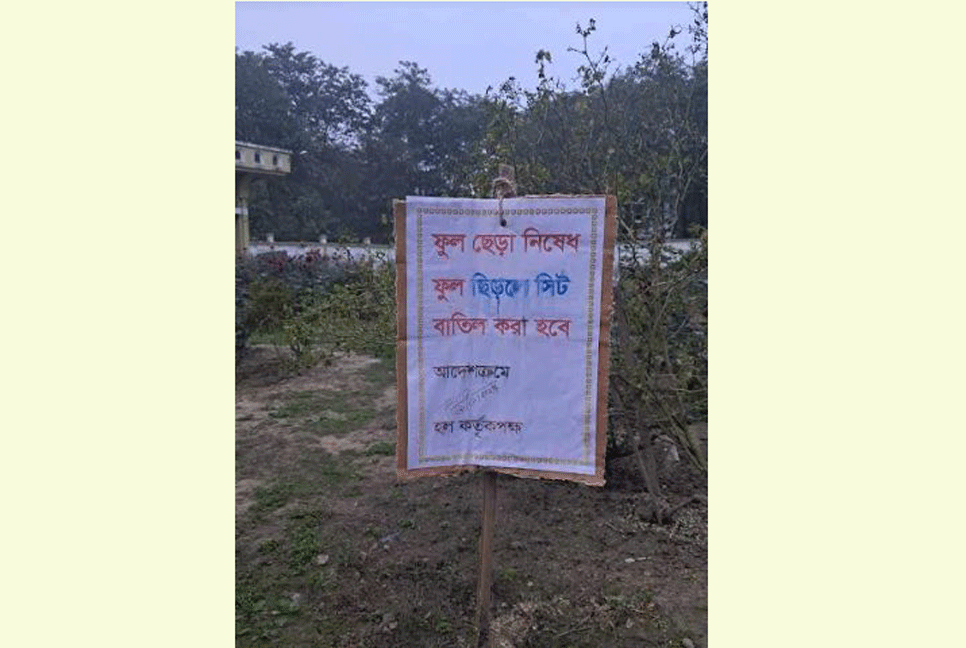 ইবির শেখ হাসিনা হলের ফুল ছিঁড়লে সিট বাতিল!