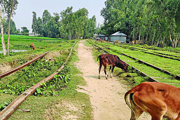 নষ্ট কোটি কোটি টাকার সম্পদ