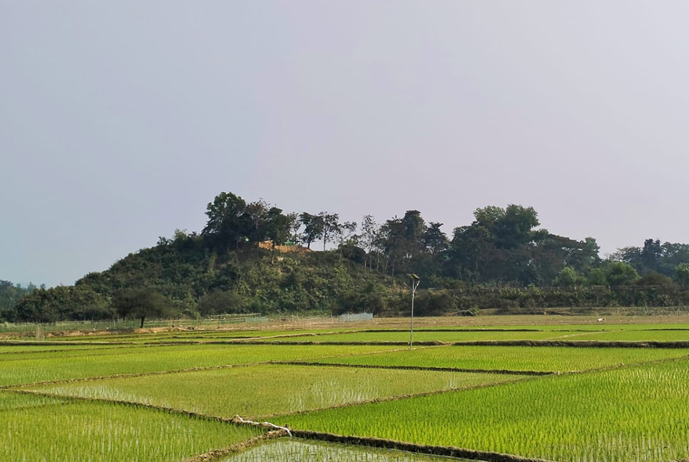 সকাল থেকেই উখিয়া ও টেকনাফ সীমান্তে গোলাগুলির শব্দ, এলাকায় আতঙ্ক