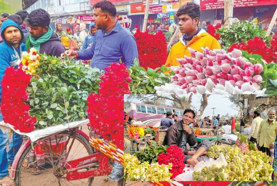 ভালোবাসা দিবসের আগের দিন ফুলের দাম কম, বিষন্ন গদখালীর কৃষকের মুখ