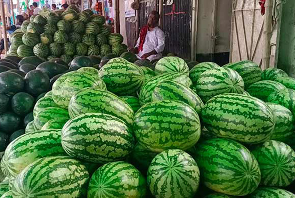 ছোট তরমুজ পিস ৮০, কেজি ৯০!