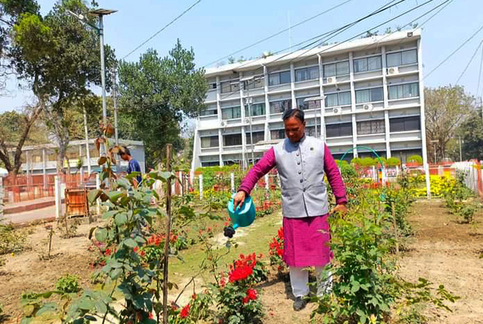 উপজেলা পরিষদে ফুল বাগান