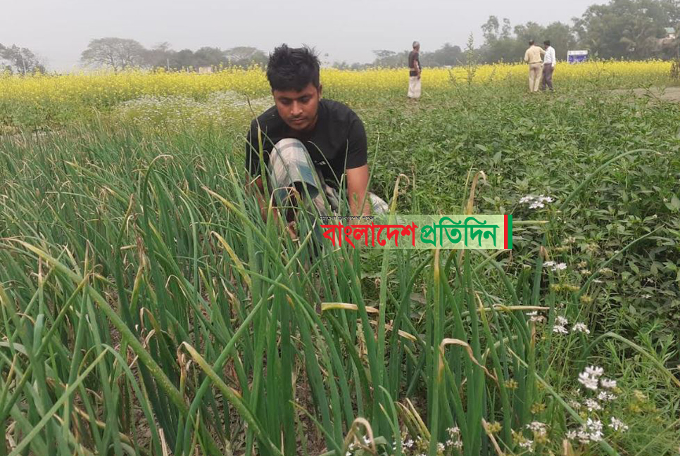 ৬ হেক্টর জমিতে ৩৬ রকমের সবজি-মসলার আবাদ

