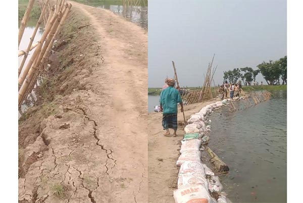 হাওরের বোরো ফসল নিয়ে কৃষকের শঙ্কা 