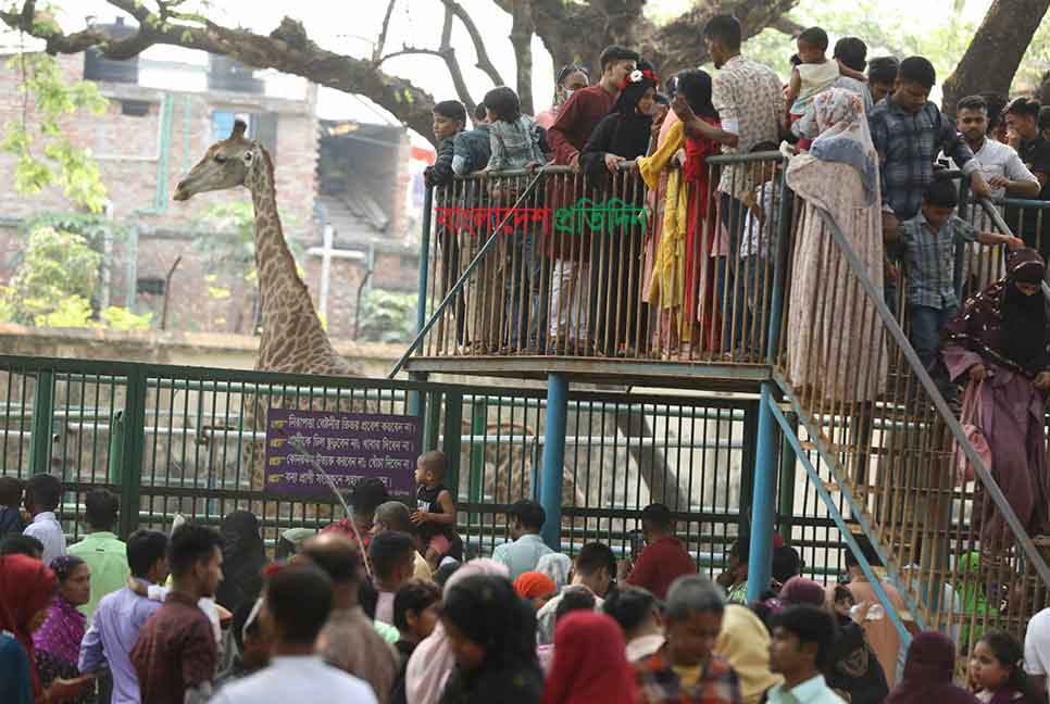 ঈদের দ্বিতীয় দিনেও চিড়িয়াখানায় উপচে পড়া ভিড়