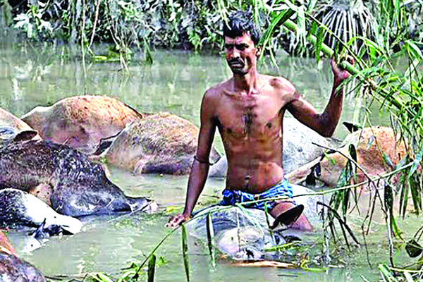 আজ ভয়াল ২৯ এপ্রিল!